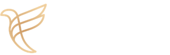 Flow Leaders